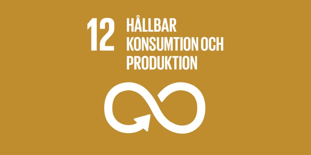 FNs globala mål, Agenda 2030, mål 12