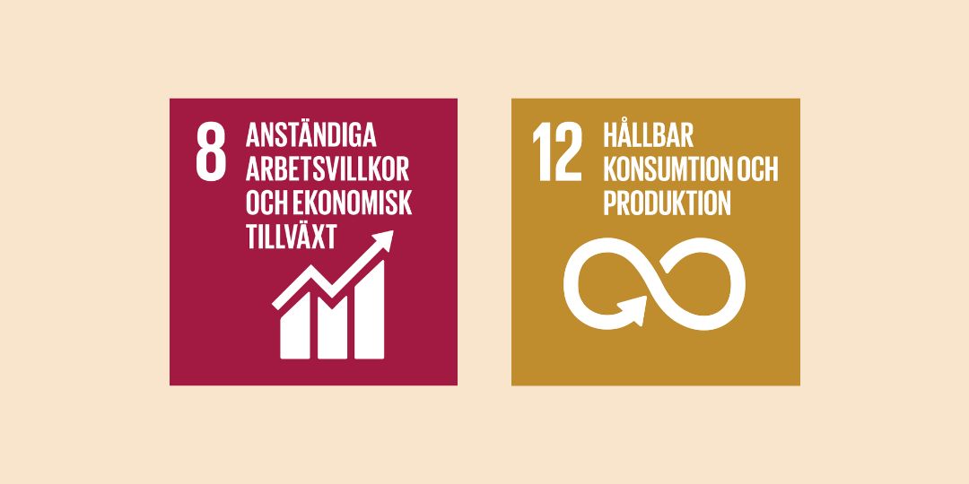 globala-malen_1080x540 FNs globala mål, Agenda 2030, mål 8